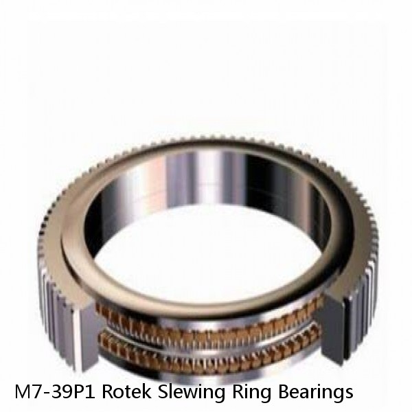 M7-39P1 Rotek Slewing Ring Bearings