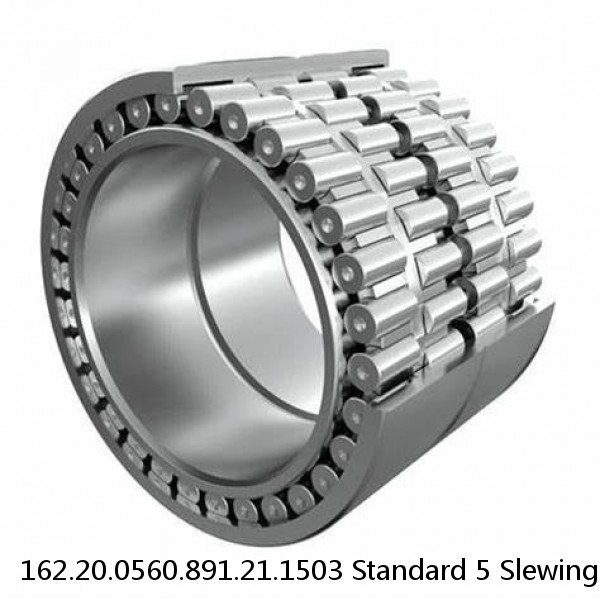 162.20.0560.891.21.1503 Standard 5 Slewing Ring Bearings